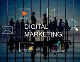 Need Expert Digital Marketing for Business Growth?, Mohali