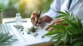 Marijuana Accounting, Los Angeles