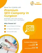 Best SEO Company in Gurgaon, Gurgaon