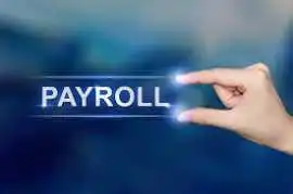 School Payroll Management Software , Chipinge