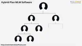 Increase Business Growth with Hybrid Plan Software, Noida