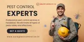Expert Pest Control Services in Faridabad , Faridabad