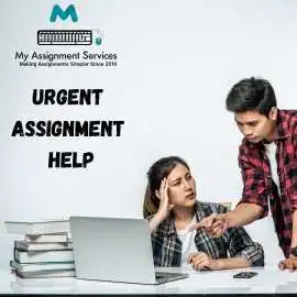 Urgent Assignment Help Fast Academic Support, Liverpool