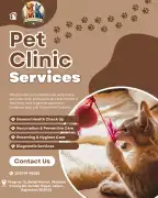 BNP Clinic and Rehabilitation Centre – Best Physio, Jaipur
