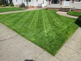 Clean Fleet Lawn Care | Lawn Care Service, Cleveland