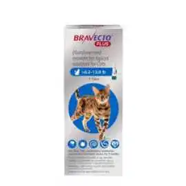 Bravecto Plus for Cats – 2-Month Protection, Ajo