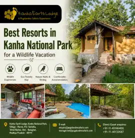 Best Resorts in Kanha National Park for a Wildlife, Balaghat