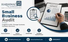 Simple and Effective Small Business Audit Services, San Diego