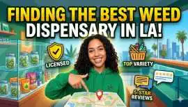 Weed Dispensary Near Me Now Open – Fast & Safe, $ 29