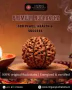 Best Rudraksha Shop in Bangalore, ¥ 2,000