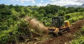 Quality Cheap Land Clearing in Hilo , Hilo