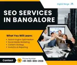 Increase Website Traffic with Bangalore SEO Expert, Noida