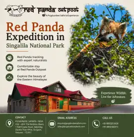  Red Panda Expedition in Singalila National Park , Gurgaon