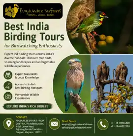 Best India Birding Tours for Birdwatching Enthusia, Gurgaon