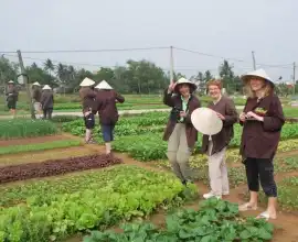 Vietnam Sustainable Discovery Journey, $ 1,186