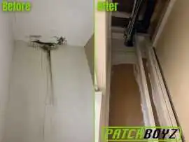 PatchBoyz Mold Removal - Asbestos & Restoration, Ottawa
