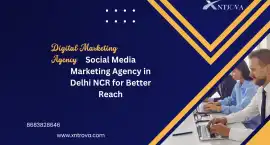 Leading Social Media Marketing Agency in Delhi NCR, Delhi
