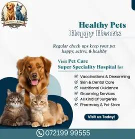The Pet Store & Clinic – Best Veterinary Clinic , Jaipur