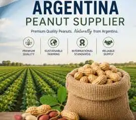 Argentina Peanut Supplier, London