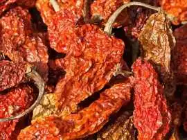 Bhut Jolokia Dry Red Chilli Exporters, Guntur