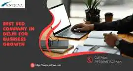 Best SEO Company in Delhi for Business Growth, Delhi