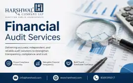Streamline Finances with Expert Financial Audit Se, San Diego