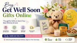 Buy Get Well Soon Gifts Online | Same Day Delivery, New Delhi