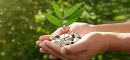 Forex Risk and the Future of India’s Green Financi