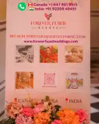 Luxury Destination Wedding Planner for NRI Couples, Mississauga