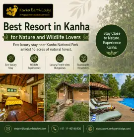 Best Resort in Kanha for Nature and Wildlife Lover, Balaghat