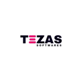 Tezas Softwares | Innovative IT Services for Moder, Jaipur