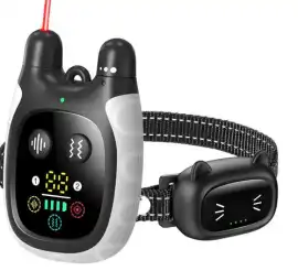 Remote Control Toy for Cats: Interactive Fun by 4P, Midland