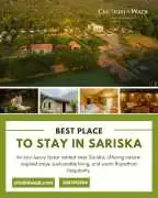 Best Place To Stay In Sariska – Experience Luxury , Alwar
