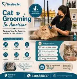 Cat Grooming, Amritsar