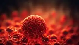 Understanding Sickle Cell Disease: Symptoms,, Bengaluru