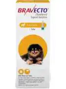 Bravecto Topical for Dogs – Flea & Tick Protection, Akron
