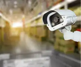 Security Services near me, Mascot