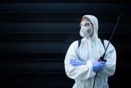 Animal Removal Ottawa, Ottawa