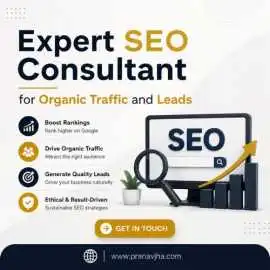 Expert SEO Consultant for Organic Traffic and Lead, Noida