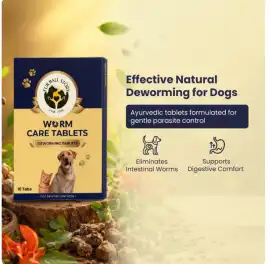 The Hidden Guest in Your Dog’s Belly Isn’t Paying , Gurgaon