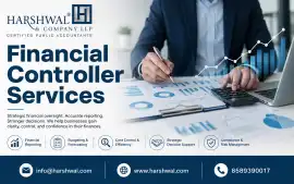 Top Financial Controller Services for Accurate , San Diego