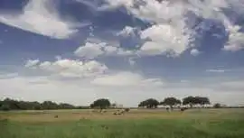 Holistic Ranch Management South Texas Sustainable, Winter Park