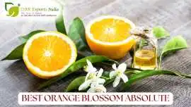 Best Orange Blossom Absolute for Premium Natural F, $ 0