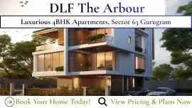 DLF The Arbour Sector 63 Gurgaon Apartments, Gurgaon
