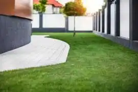 Natural Grass Adelaide, Adelaide