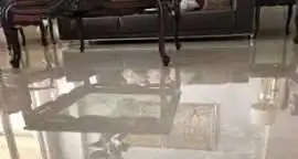 Marble Polishing Services in Saraswati Vihar, Delhi