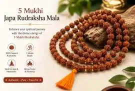 Original 5 Mukhi Japa Rudraksha Mala, $ 768
