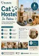 Cat Hostel, Patna