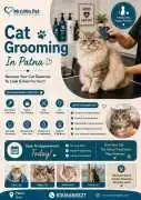 Cat Grooming, Patna