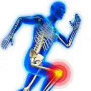 Body Active Physio, Alexandria